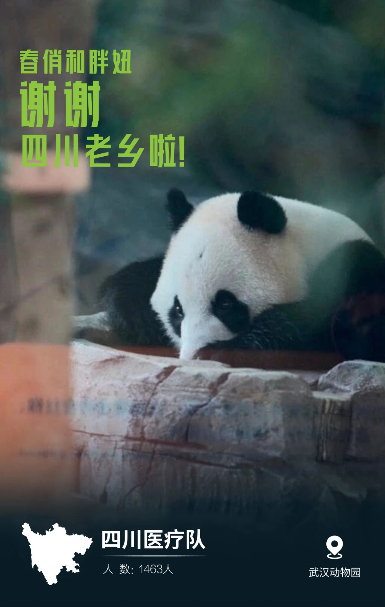 31張馳援武漢醫療隊名片，向抗疫一線的英雄致敬