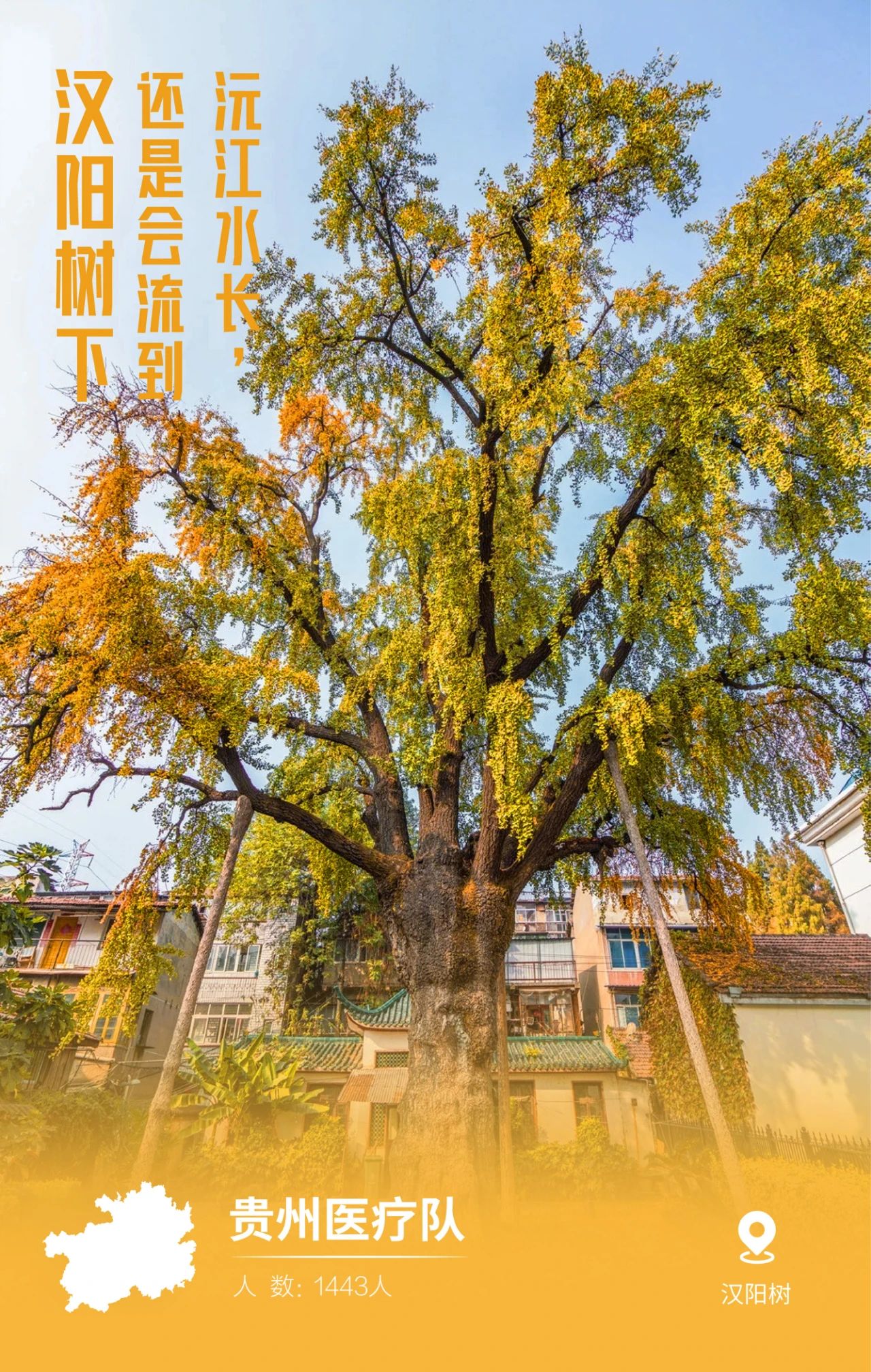 31張馳援武漢醫療隊名片，向抗疫一線的英雄致敬