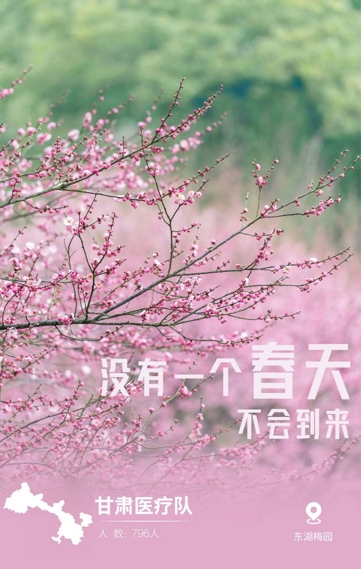 31張馳援武漢醫療隊名片，向抗疫一線的英雄致敬