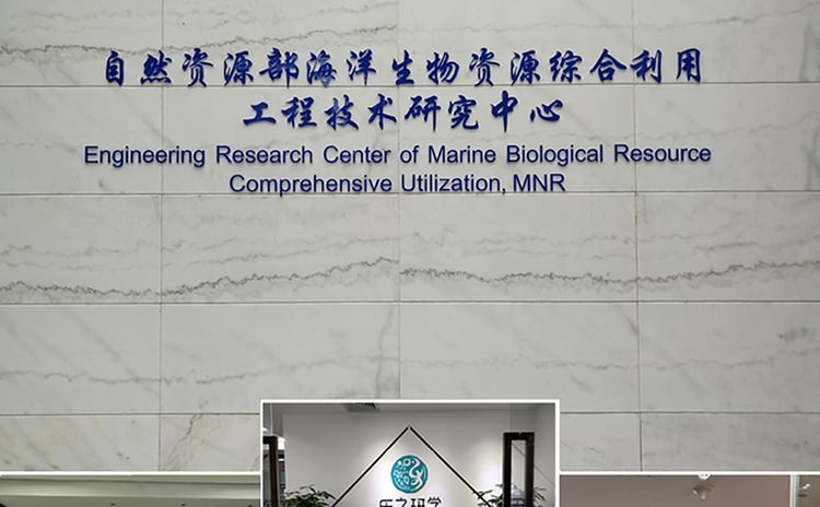 廈門形象墻設(shè)計(jì)制作公司協(xié)助廈門企業(yè)形象墻、logo墻、公司背景墻、企業(yè)文化墻設(shè)計(jì)制作